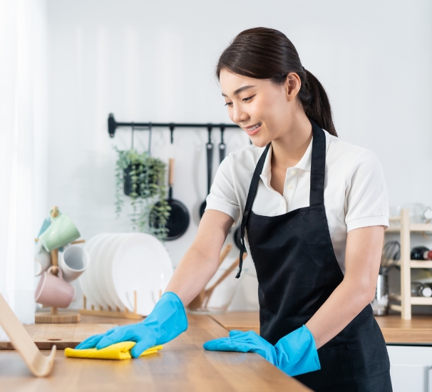 House Cleaning 1