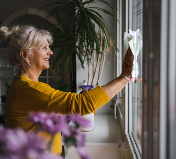Window And Carpet Cleaning 1